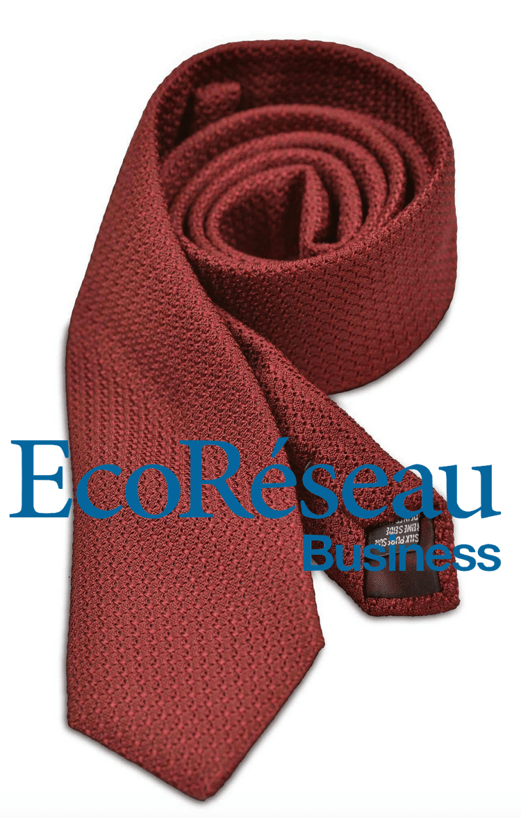 Éco Réseau — Premiere Manche cravate soie accessoires